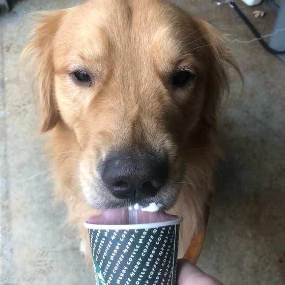 Meet your Posher, Kris - Picture 3 of 6